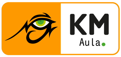 KM Aula Virtual